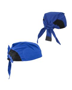 Radians Arctic Radwear Head Shade