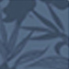 Riviera Blue Floral